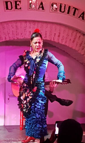 Espectáculo Flamenco de Sevilla: Visita Guiada + Tapas