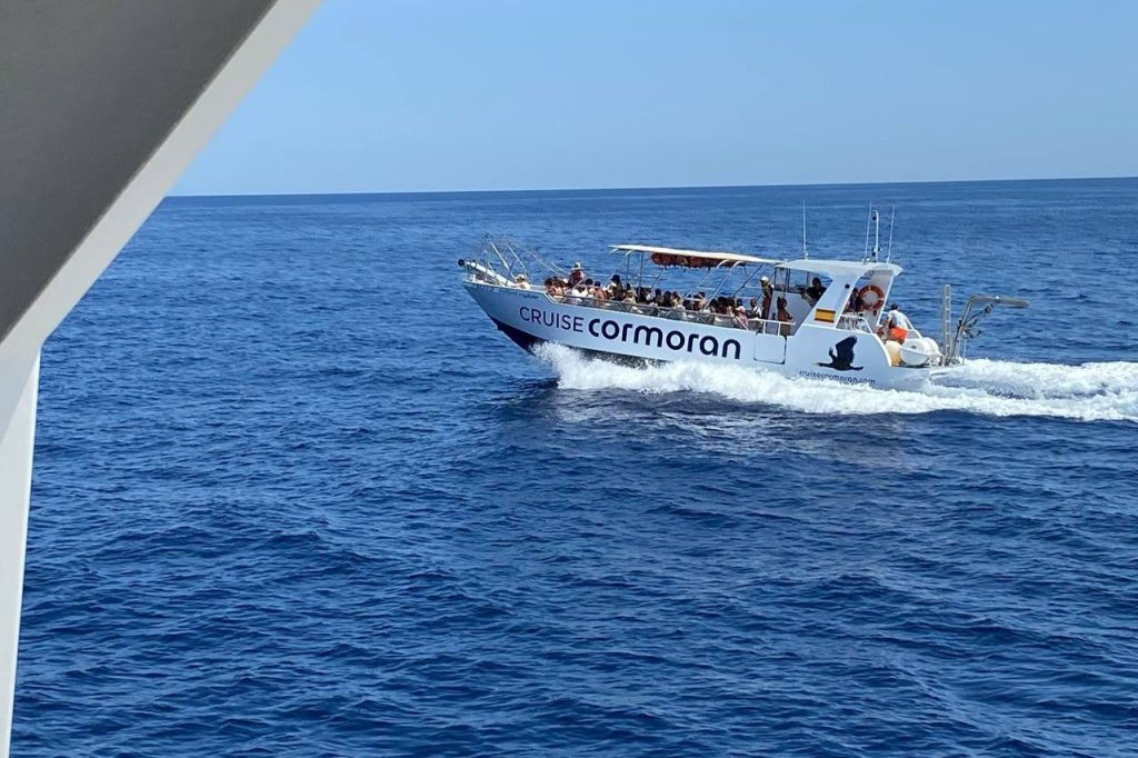 Palma de Majorque : Excursion en bateau pour observer les dauphins