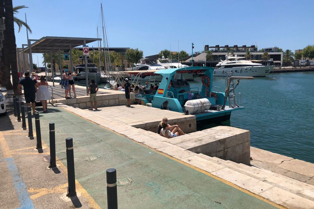 Palma de Mallorca: Excursão de barco para observação de golfinhos