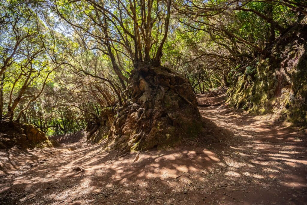 Excursión guiada en el Parque Rural de Anaga
