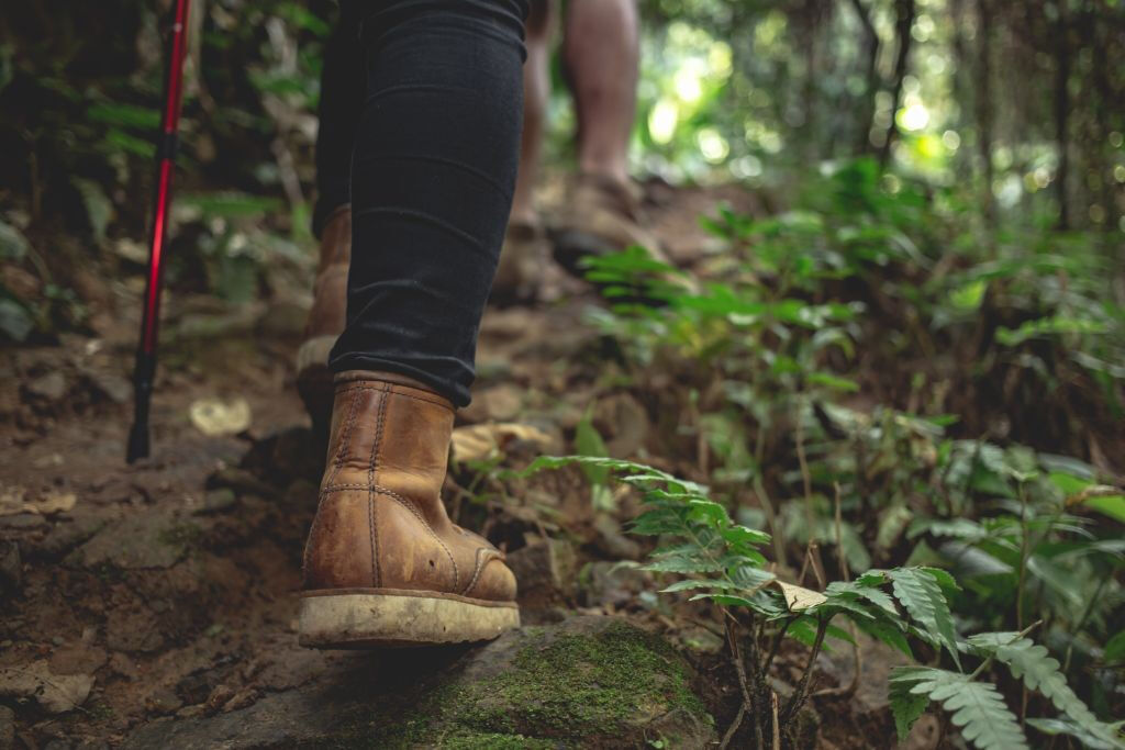 Excursión guiada en el Parque Rural de Anaga