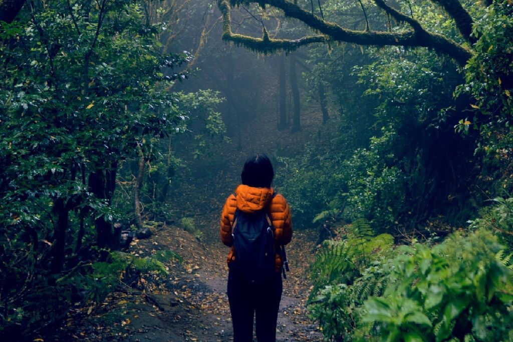 Excursión guiada en el Parque Rural de Anaga