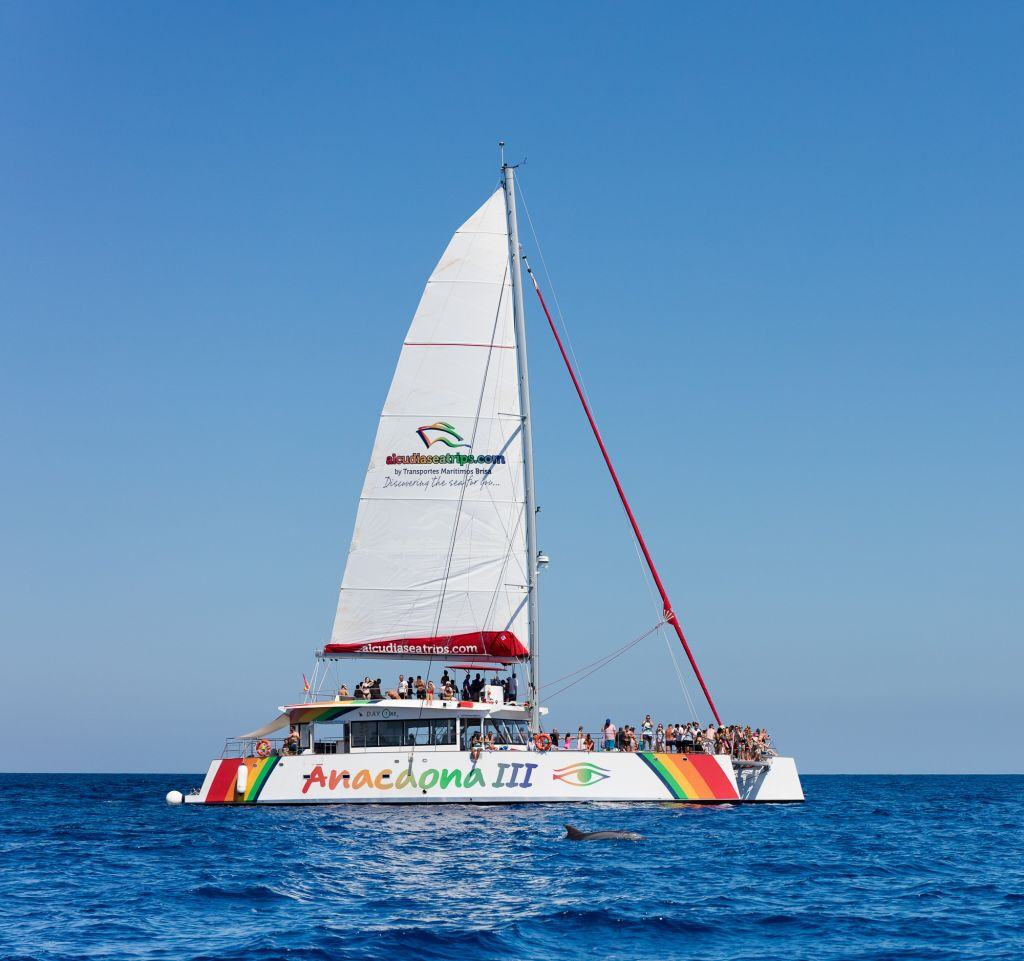 Maiorca: Tour di 2 ore all'alba al mare e delfini
