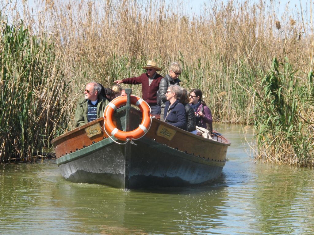 Valence : 48 heures d'autobus avec la ligne Albufera + excursion en bateau