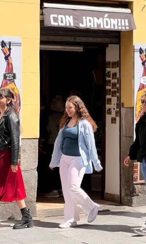 Madrid Old Town Tour & Flamenco Show with Optional Tapas