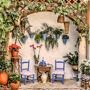 Courtyards of Cordoba: Guided Tour