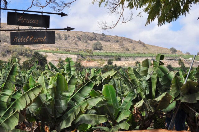Excursiones de 1 día en Gran Canaria