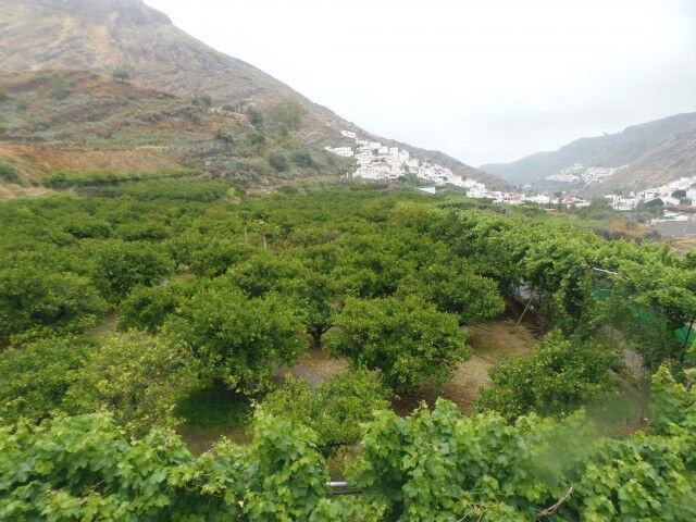 Excursões de 1 dia em Gran Canaria