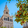 Cathédrale de Séville, Giralda et Alcazar : Visite Guidée