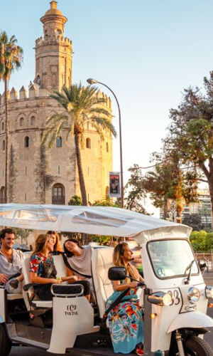 Sevilla: Tour de 1 hora en Tuk Tuk Eléctrico Privado