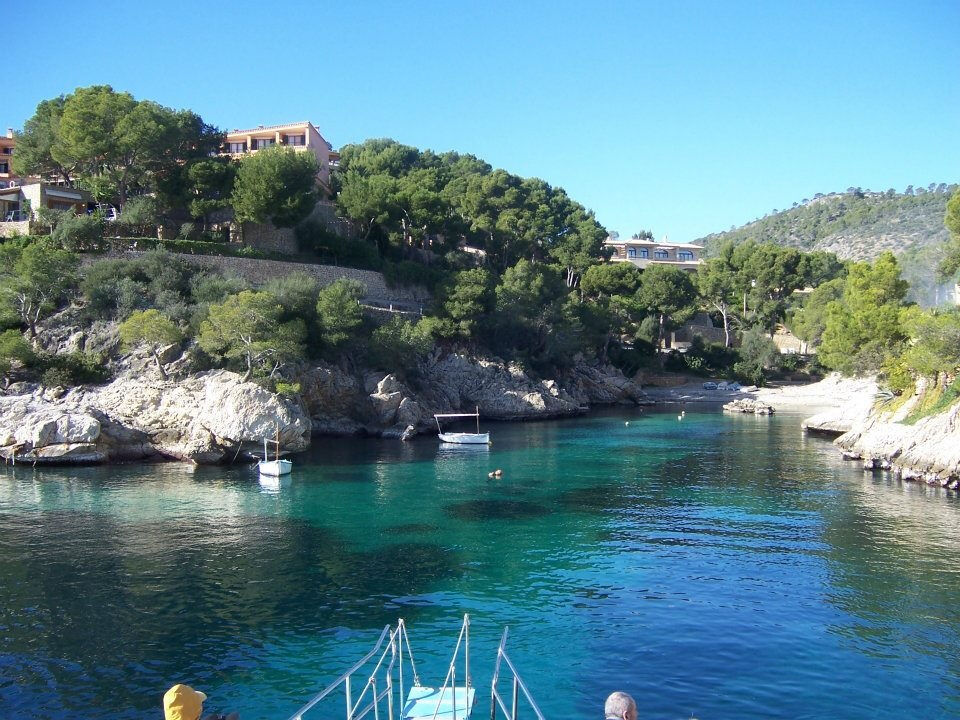 Santa Ponsa: Excursión en barco para avistar delfines
