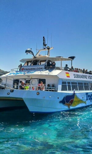 Santa Ponsa: Excursión en barco para avistar delfines