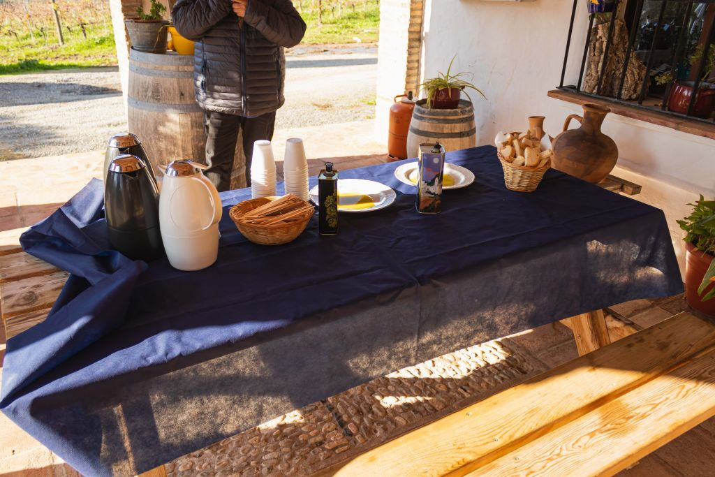 Ferme d'huile d'olive depuis Séville : visite guidée
