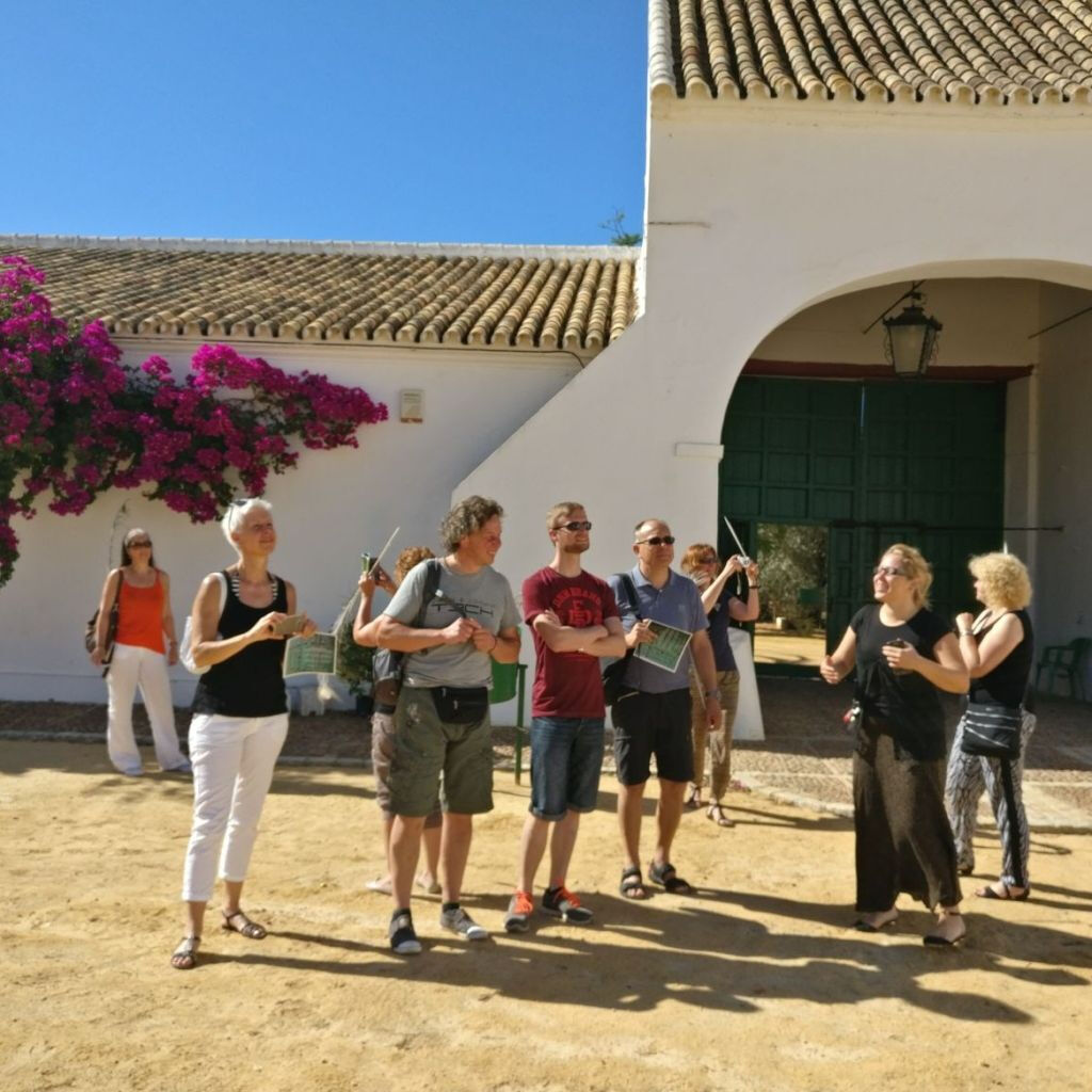 Ferme d'huile d'olive depuis Séville : visite guidée