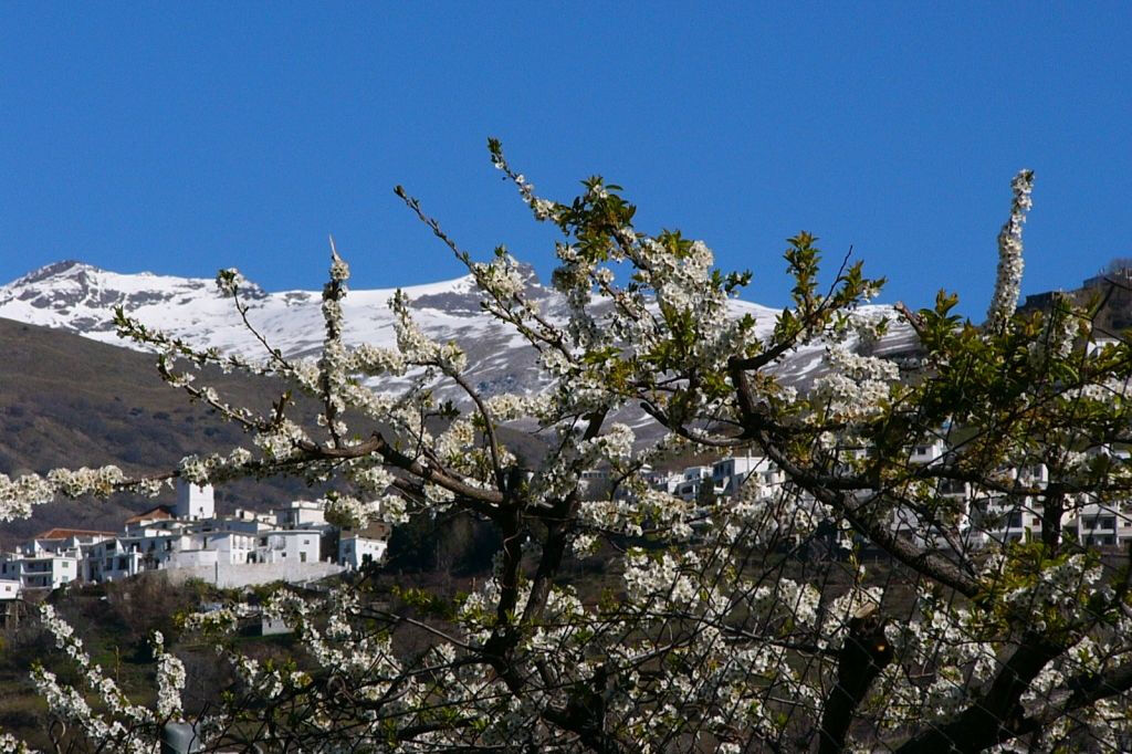 Alpujarra : Excursion d'une journée depuis Grenade + déjeuner