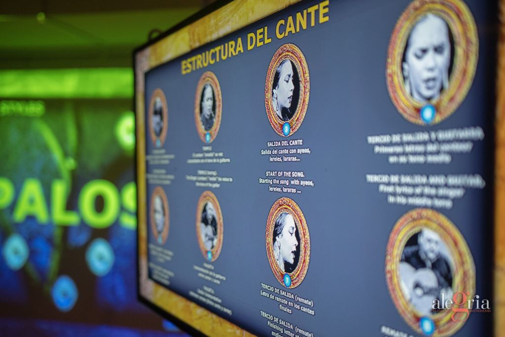 Interactive Flamenco Center