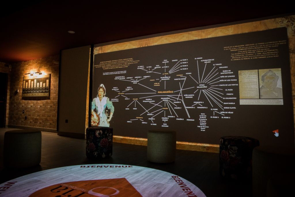 Interactive Flamenco Center