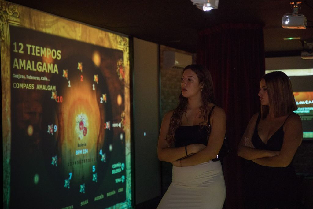 Interactive Flamenco Center