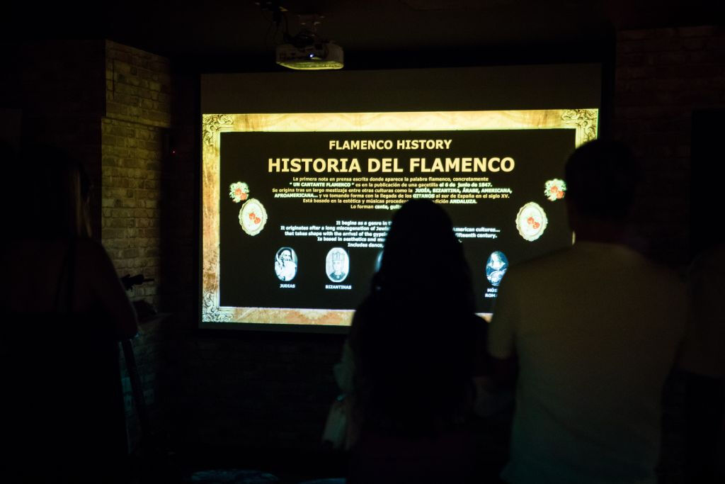 Interactive Flamenco Center