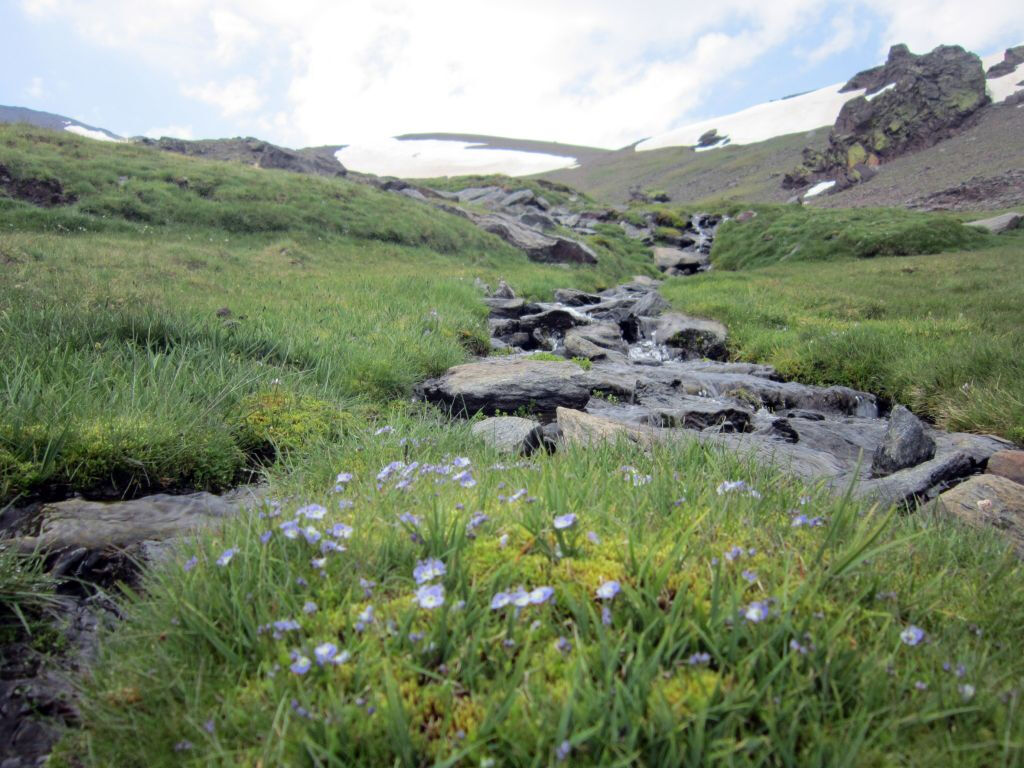 Sierra Nevada: Guided Tour from Granada