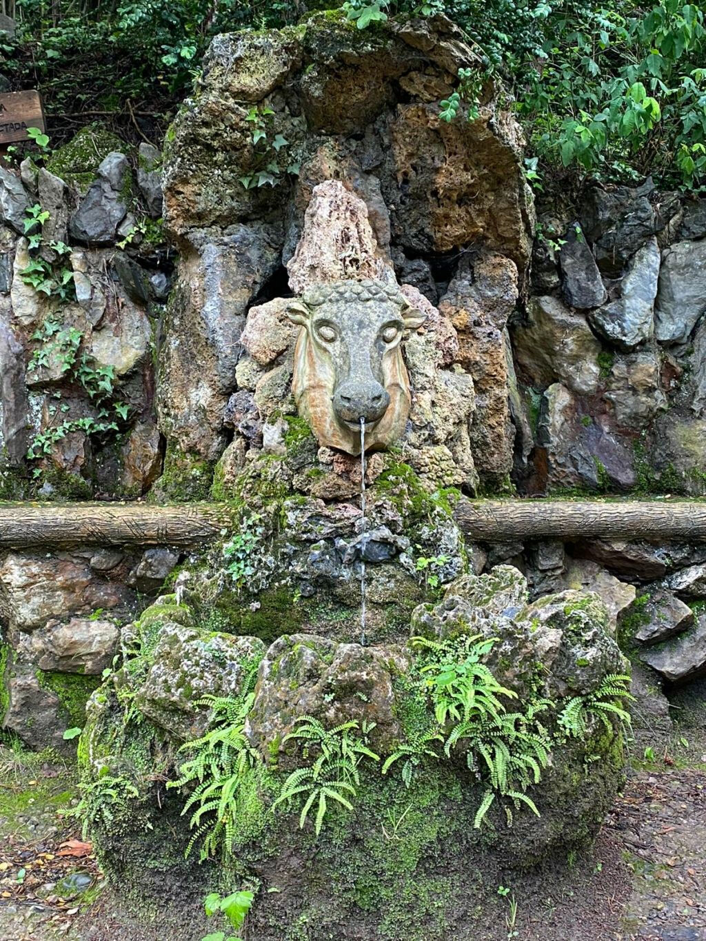 Jardines Artigas: Entrada