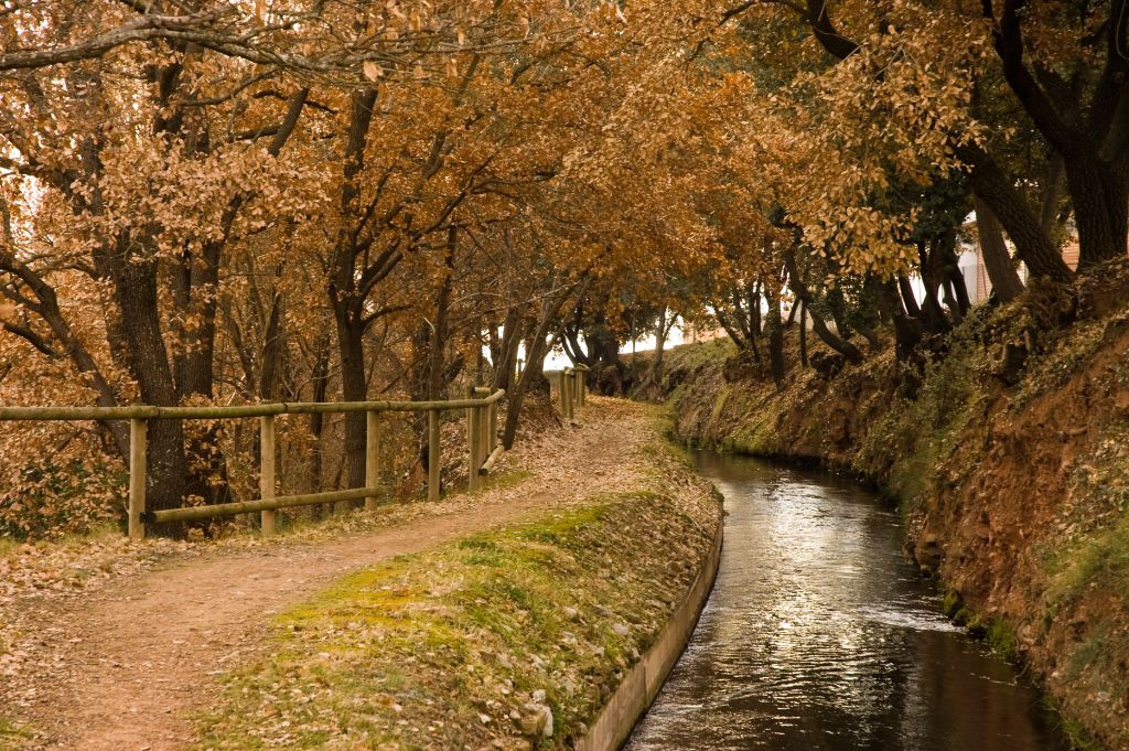 La Sèquia Park Manresa
