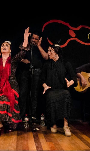 Madrid: Tapas Walking Tour + Flamenco Show