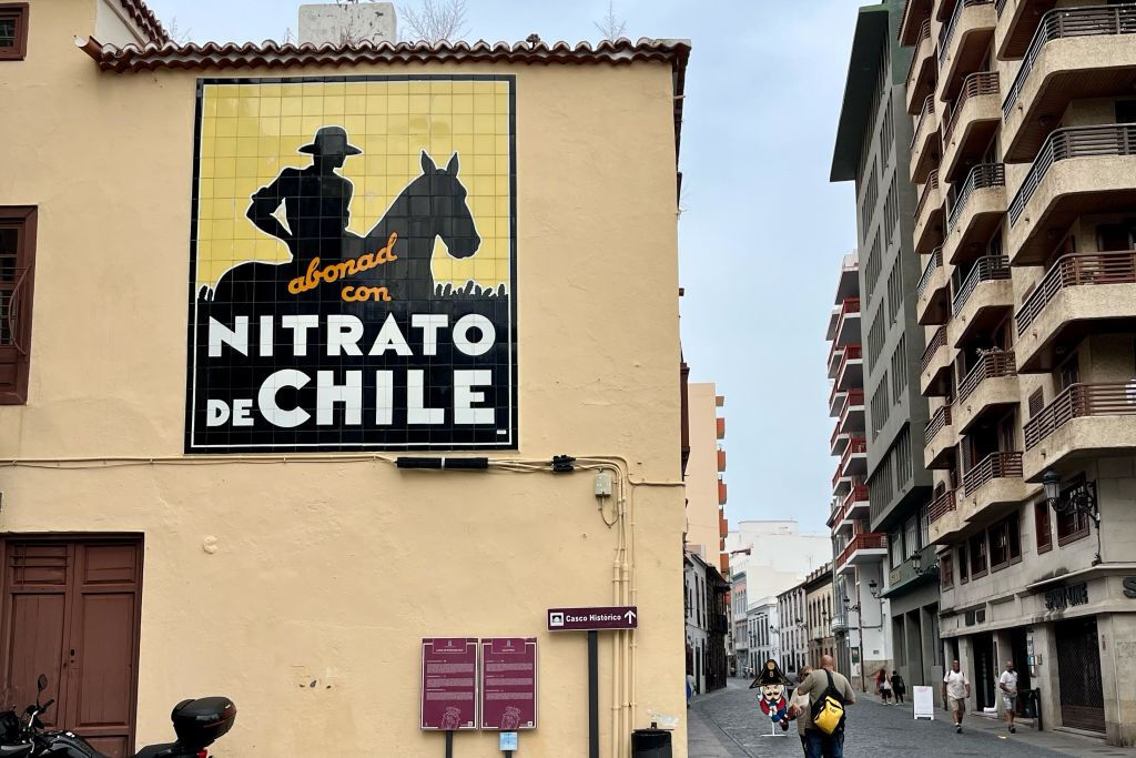 Inicios de Santa Cruz de La Palma