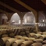 Jerez e Cadice: Gita di un giorno da Siviglia + degustazione di vini + mostra di cavalli