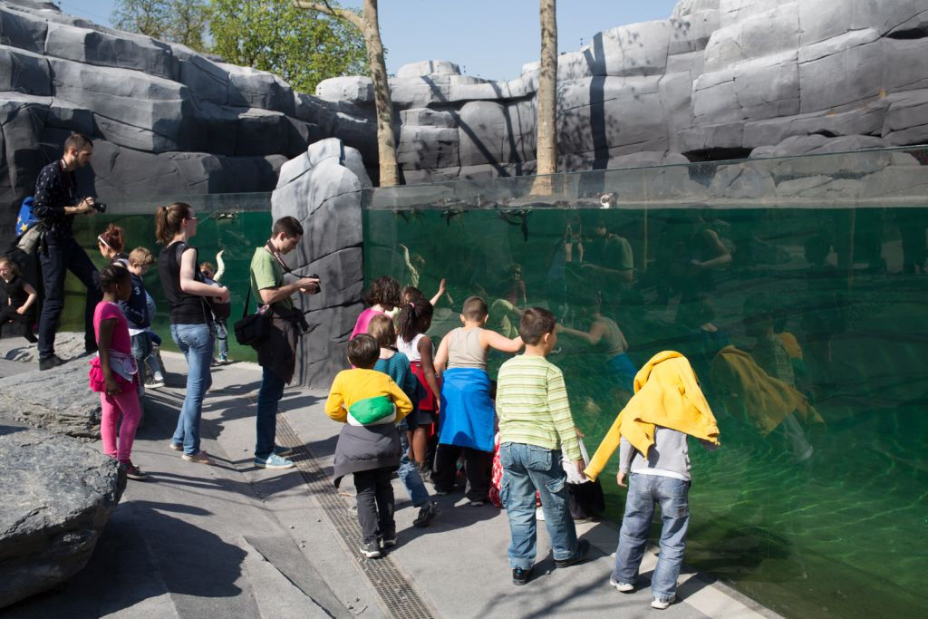 Parc Zoologique de Paris (Zoo de Vincennes): Billet d'entrée