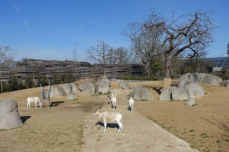 Parc Zoologique de Paris (Zoo de Vincennes): Billet d'entrée