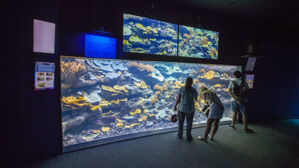 Aquarium de Paris