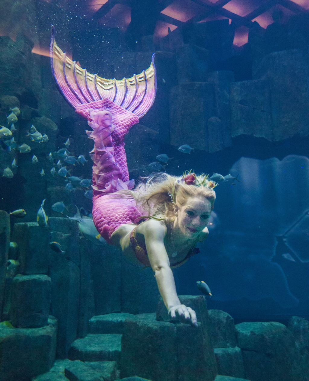 Aquarium de Paris