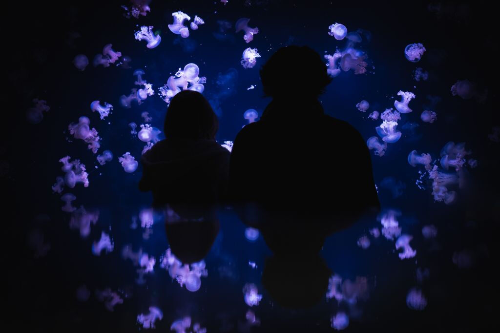 Aquarium de Paris