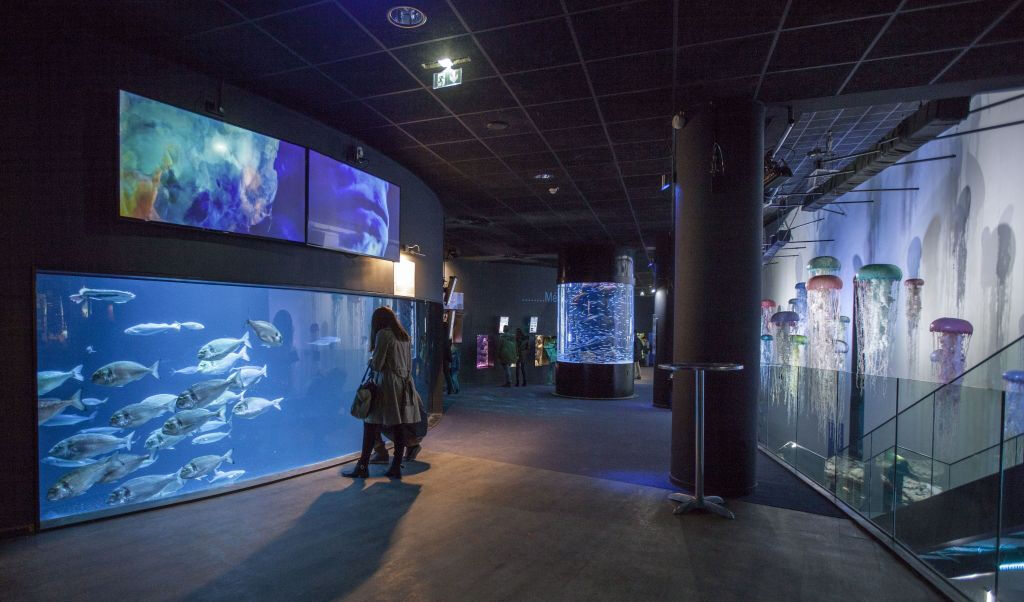 Aquarium de Paris