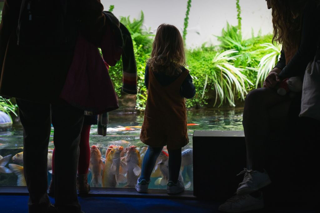 Aquarium de Paris