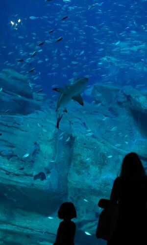 Aquarium de Paris