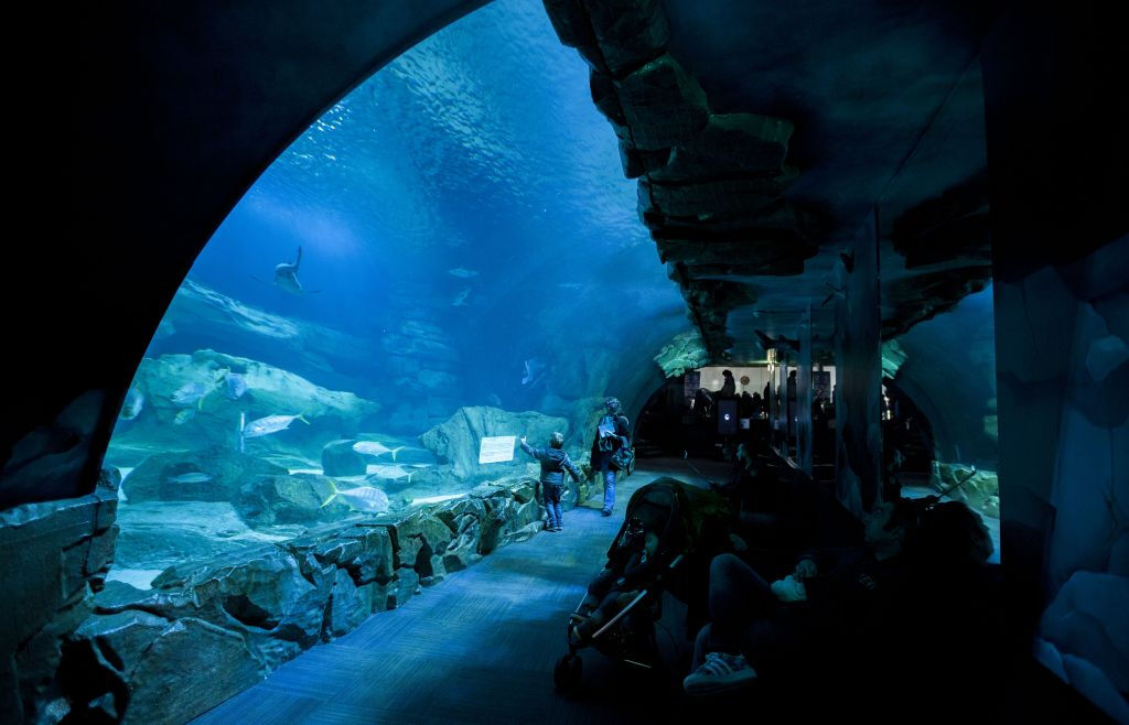 Aquarium de Paris