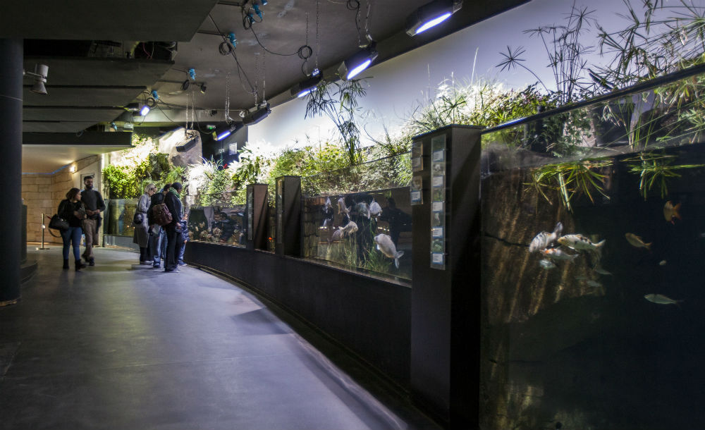 Aquarium de Paris