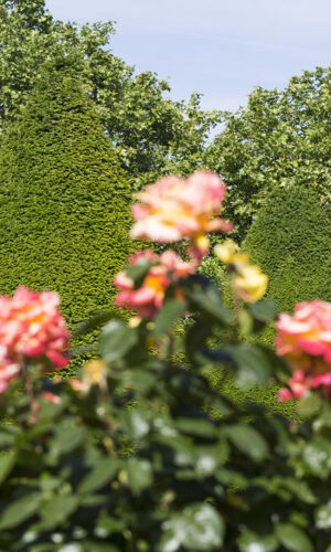 Musée Rodin: Skip The Line