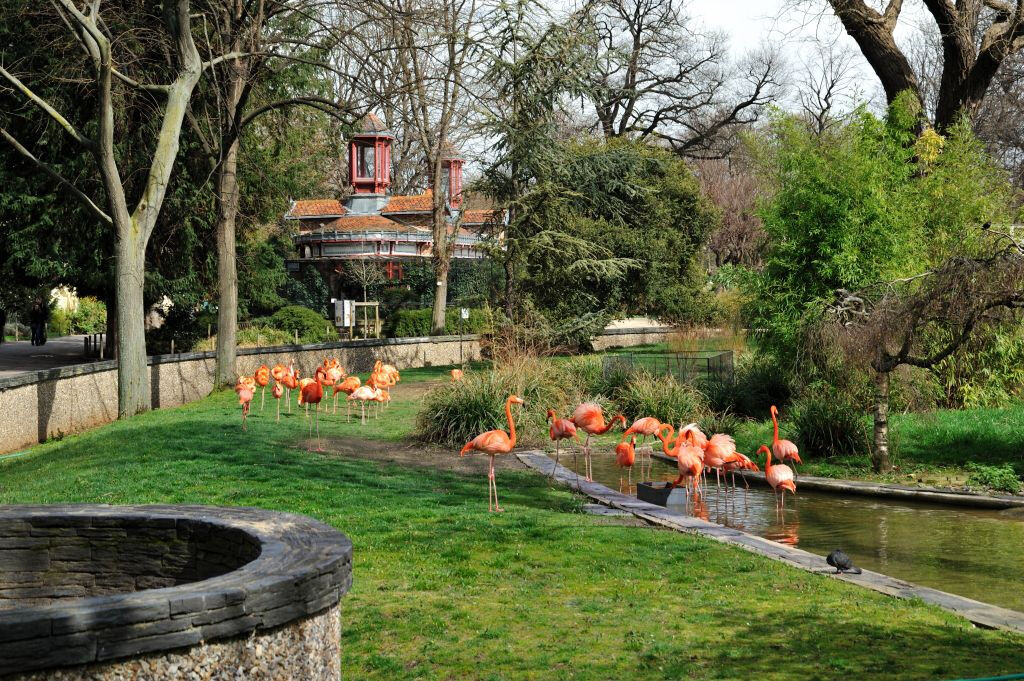 Ménagerie, zoológico do Jardin des Plantes: sem filas