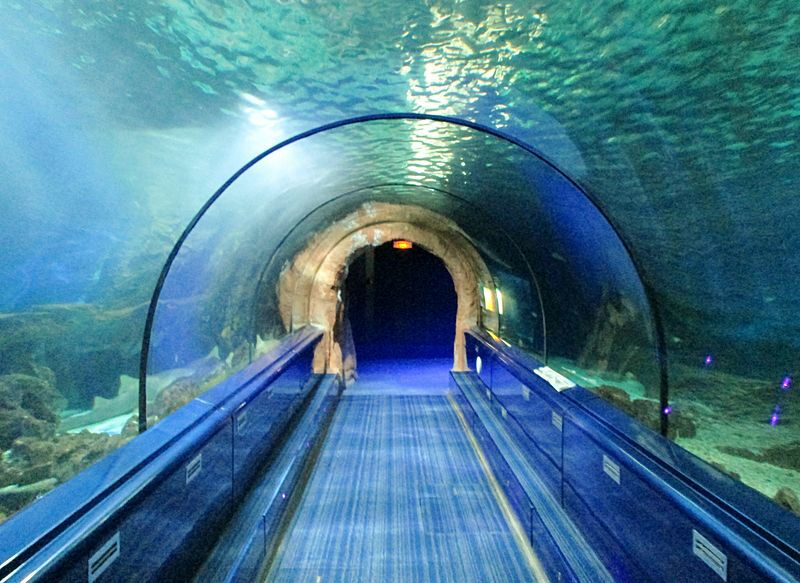 Marineland Côte d'Azur: Entry Ticket