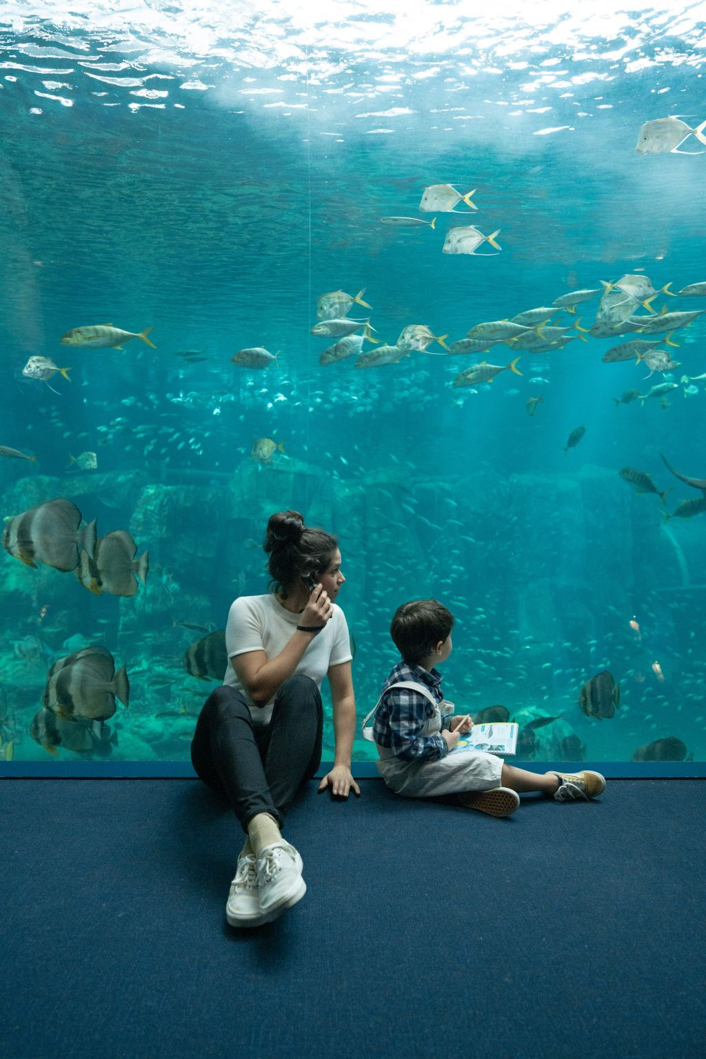 Aquarium Nausicaá: Billet coupe-file