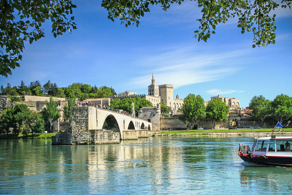 Palais des Papes & Pont d'Avignon : Billet d'entrée