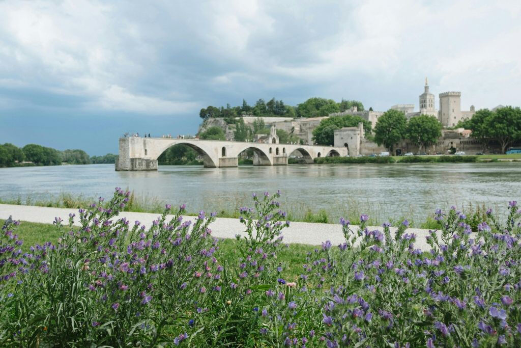 Palais des Papes & Pont d'Avignon : Billet d'entrée