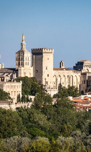 Palais des Papes & Pont d'Avignon : Billet d'entrée