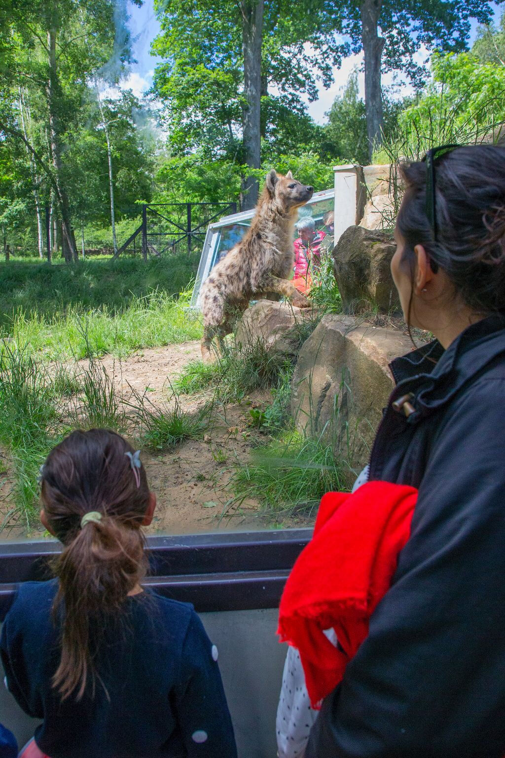 ZooSafari de Thoiry: sem filas