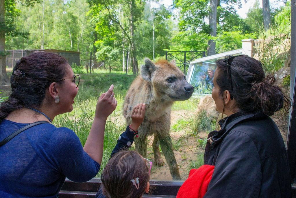 ZooSafari de Thoiry: sem filas