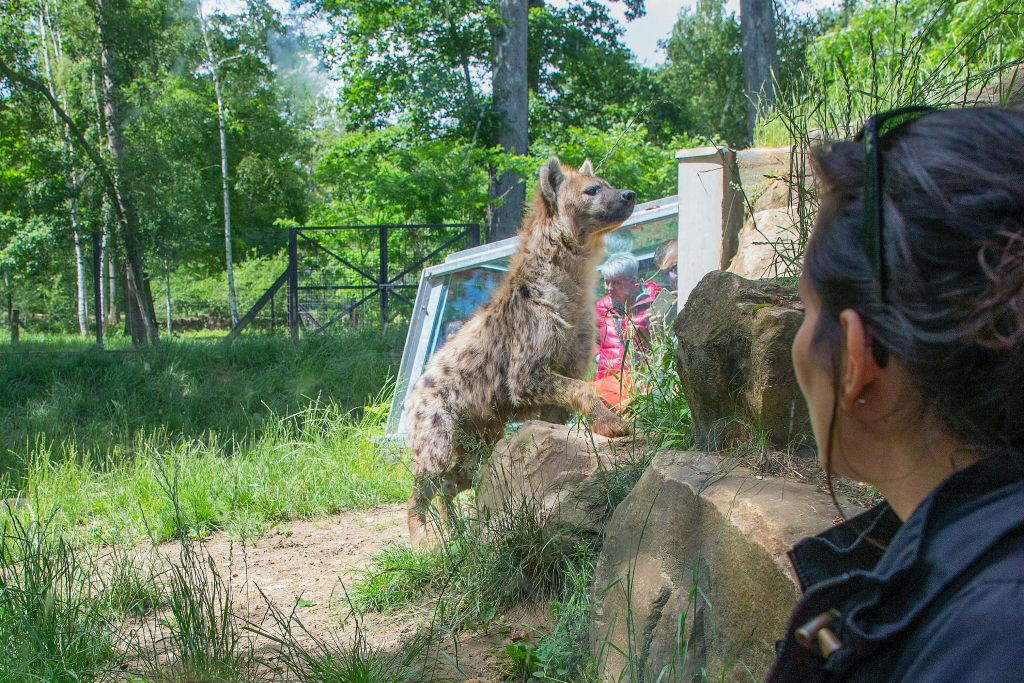 ZooSafari de Thoiry: sem filas