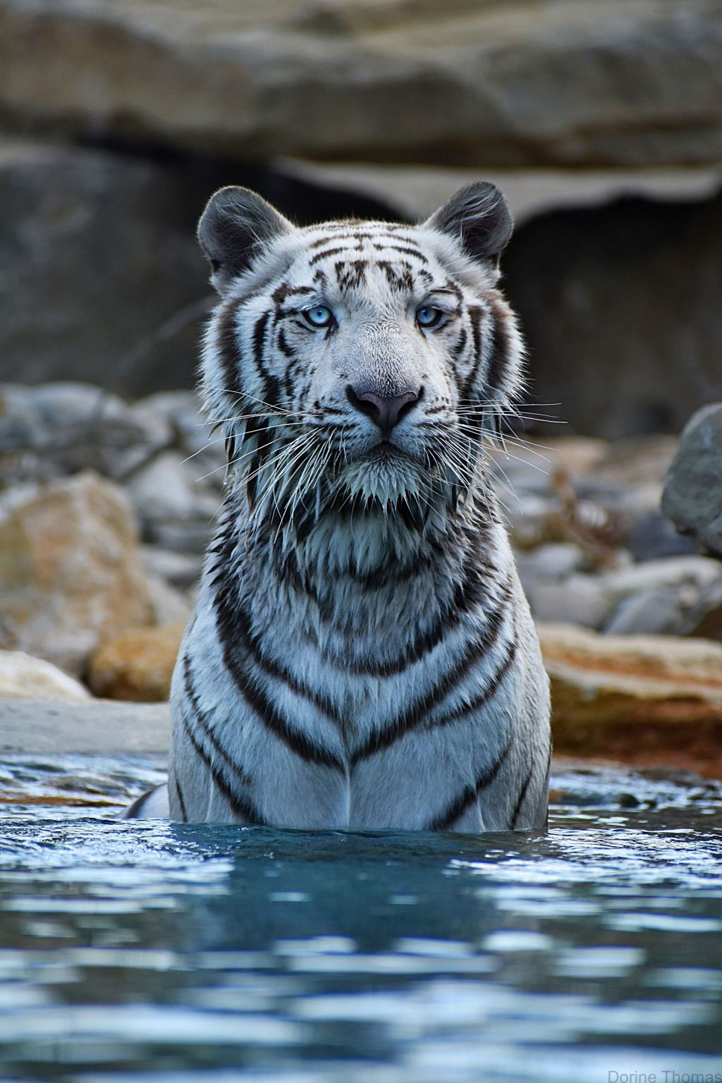 Parc animalier de la Barben